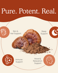 Organic Reishi Mushroom Capsules