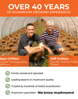 Organic Cordyceps Extract Capsules