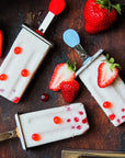 Flat Stainless Steel Popsicle Molds and Rack - Steel Sticks Popsicle Mold Supplies Ecozoi 