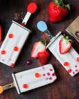 Flat Stainless Steel Popsicle Molds and Rack - Steel Sticks Popsicle Mold Supplies Ecozoi 