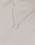 Lady Luck (horseshoe)