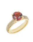 David Ring - Garnet